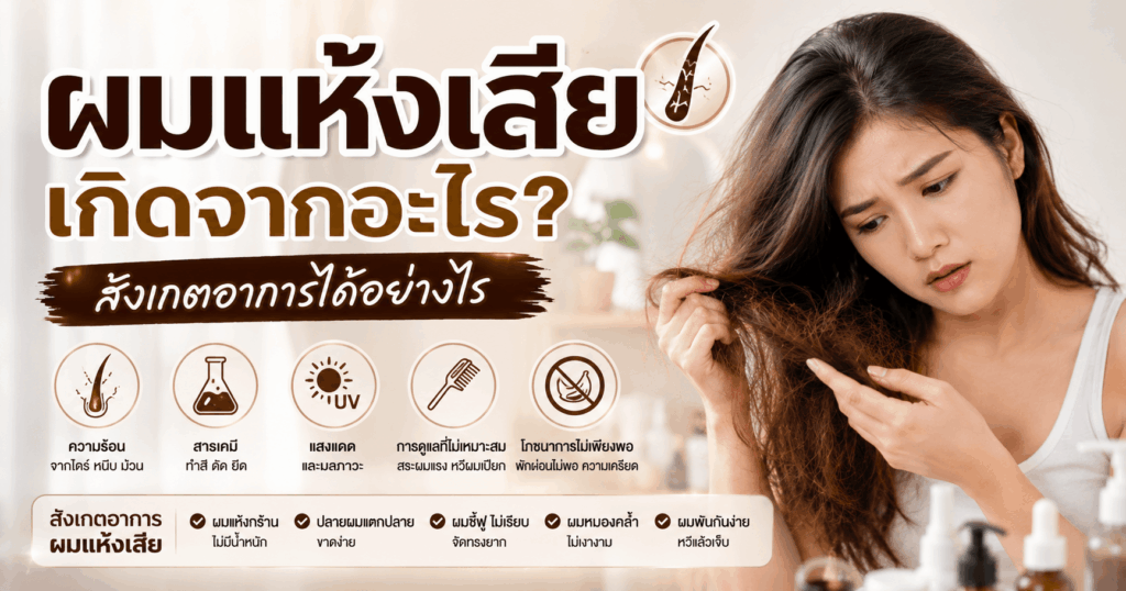 ผมแห้งเสีย เกิดจากอะไร สังเกตอาการได้อย่างไร พร้อมภาพประกอบ 5 สาเหตุหลักและวิธีเช็คสภาพเส้นผมแห้งเสีย