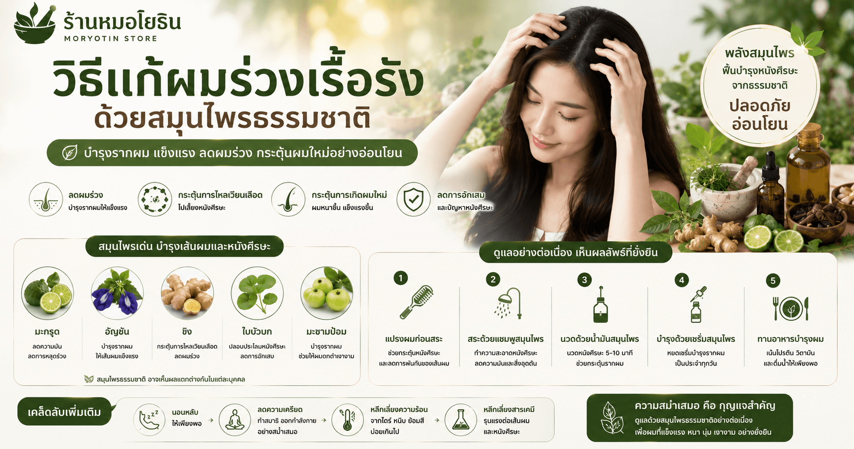 วิธีแก้ผมร่วงเรื้อรังด้วยสมุนไพรธรรมชาติ ฟื้นฟูรากผมให้กลับมาแข็งแรง